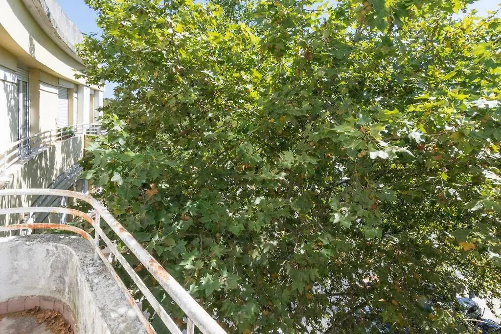 Houze_City Center, 5 Rooms Flat W/ Sunny Terrace Lisboa 0*,